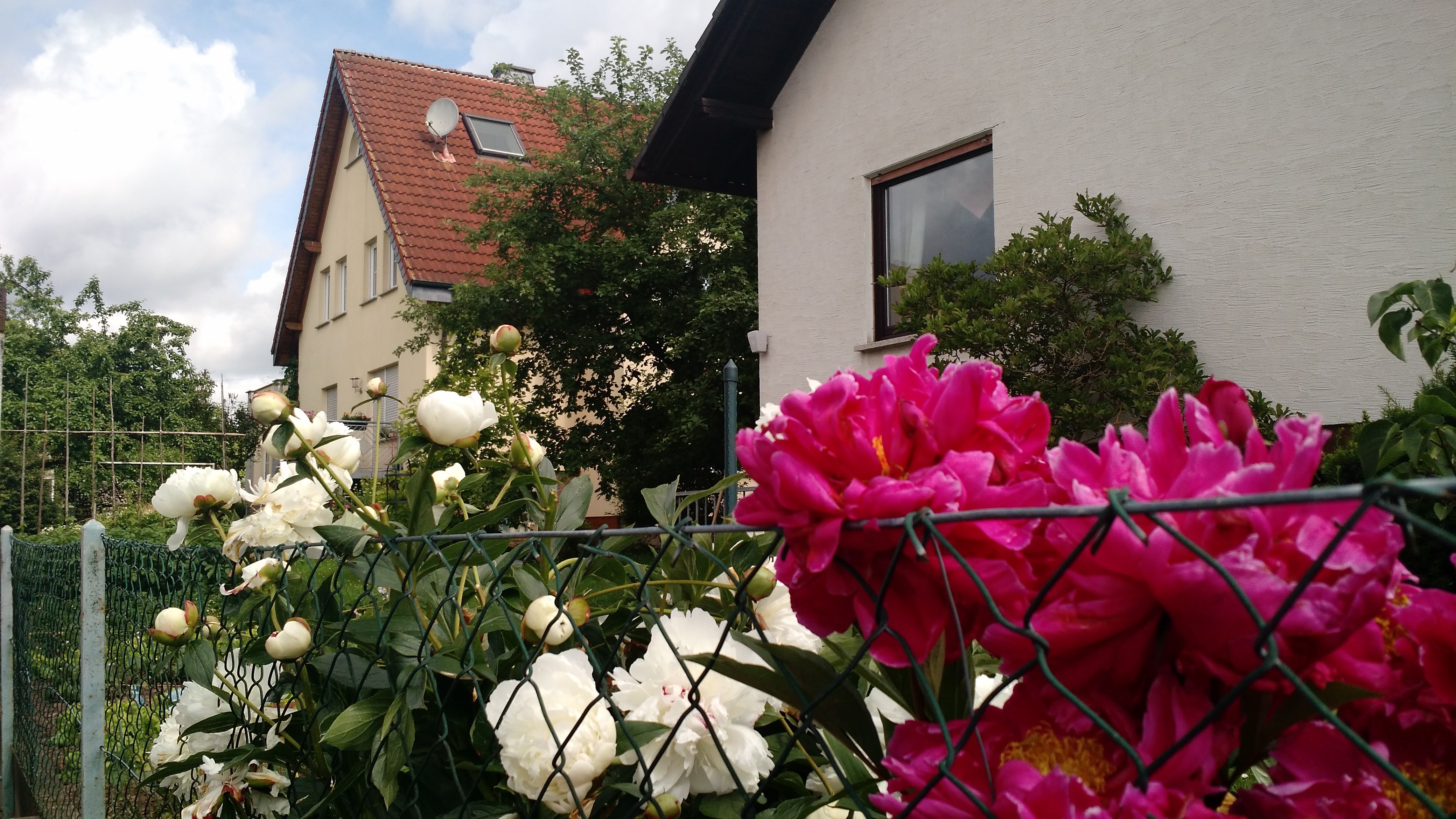 IMG_20160618_242950991